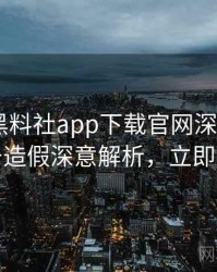 0633. 黑料社app下载官网深度追踪：财务造假深意解析，立即阅读