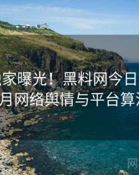 1497. 独家曝光！黑料网今日2021年11月网络舆情与平台算法