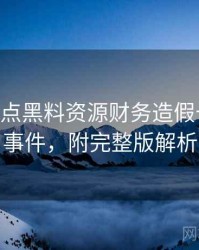 1378. 盘点黑料资源财务造假十大焦点事件，附完整版解析