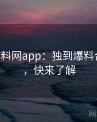 0552. 黑料网app：独到爆料合集盘点，快来了解