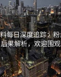 1226. 黑料每日深度追踪：粉丝后援会后果解析，欢迎围观