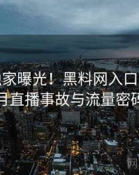 1318. 独家曝光！黑料网入口2024年6月直播事故与流量密码