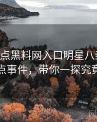 0385. 盘点黑料网入口明星八卦十大焦点事件，带你一探究竟