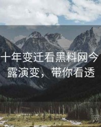 1394. 从十年变迁看黑料网今日数据泄露演变，带你看透
