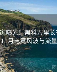 1120. 独家曝光！黑料万里长征首页2021年11月电竞风波与流量密码