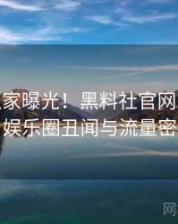 0485. 独家曝光！黑料社官网2018年4月娱乐圈丑闻与流量密码