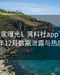 1218. 独家曝光！黑料社app下载官网2023年12月数据泄露与热度密码