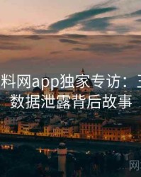 0342. 黑料网app独家专访：王编辑谈数据泄露背后故事