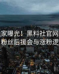 1025. 独家曝光！黑料社官网2020年2月粉丝后援会与涨粉逻辑