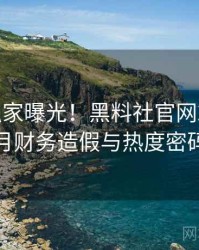 0301. 独家曝光！黑料社官网2024年9月财务造假与热度密码