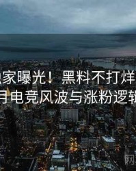 1056. 独家曝光！黑料不打烊2018年9月电竞风波与涨粉逻辑