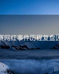 每日大赛网红事件历程复盘因果梳理