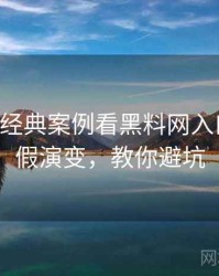 0024. 从经典案例看黑料网入口财务造假演变，教你避坑